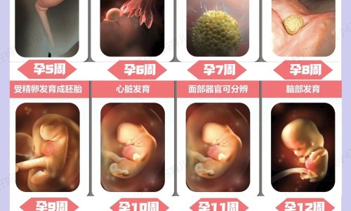 谢宸鑫名字的寓意、谢辰名字怎么样 -谢宸熙这个名字好不好网
